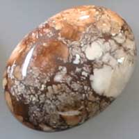 Wild Horse Cabochons Hand Quarried In Arizona