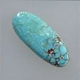 Turquoise Cabs (Stabilized Nevada #8)  Gallery 15