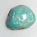 Turquoise Cabs (Natural Fox Nevada) Gallery 16